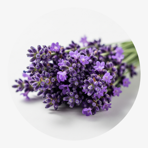 BBOJI 100% Natural 'Relief Roller' For Teething Pain image BBOJI 100% Natural 'Relief Roller' For Teething Pain